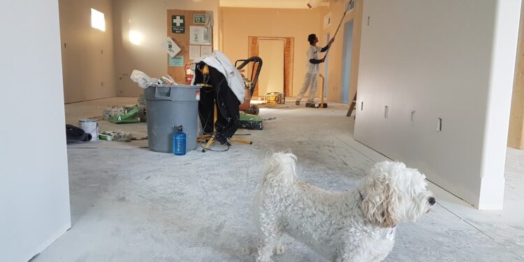 How to Plan Your Home Improvement Project