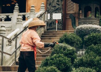 Simple Outdoor Maintenance Ideas to Keep Your Space Tidy